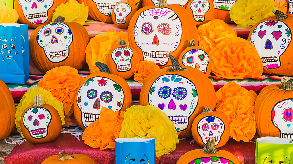 Day of the Dead Celebrations Fills North County This Fall