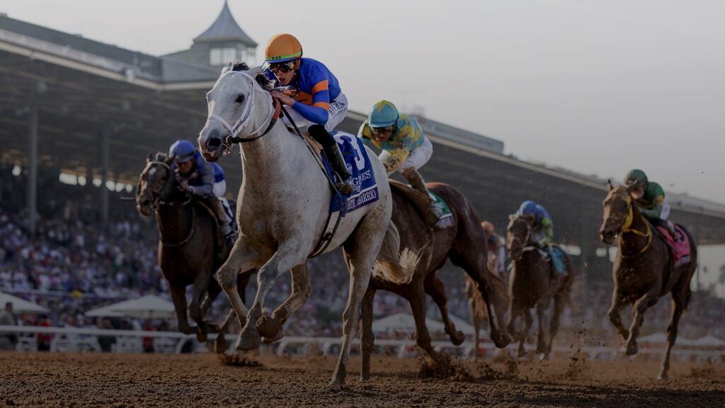 Del Mar Thoroughbred Club Named Host Venue for the 2025 Breeders’ Cup World Championships