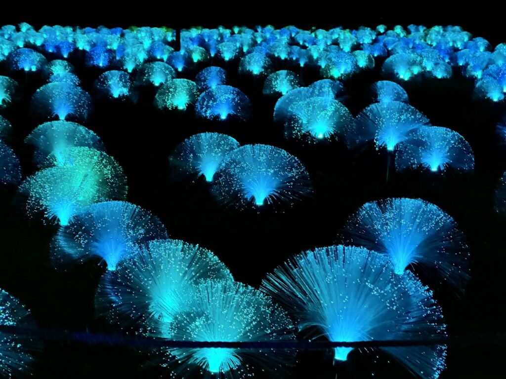 Lightscape Returns This Winter at the San Diego Botanical Gardens